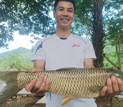 Câu cá hồ tự nhiên & Bắn Bi-A