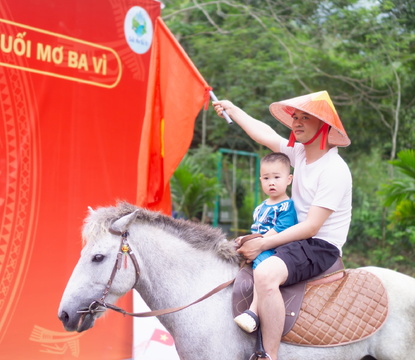 Cưỡi ngựa - nhìn thì dễ, thử đi thì biết