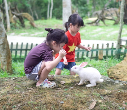 Chơi với Thỏ ngọc