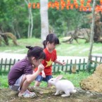 Khu vui chơi  và trải nghiệm trẻ em