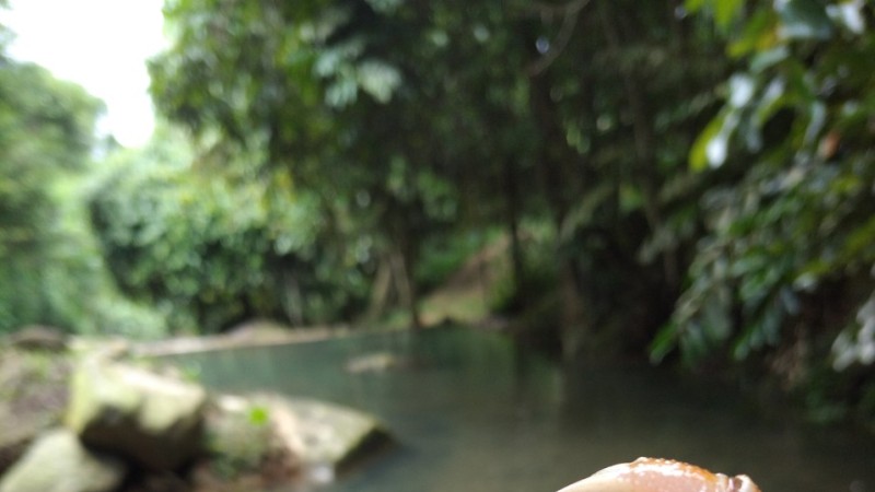 Khám phá khu du lịch Suối Mơ