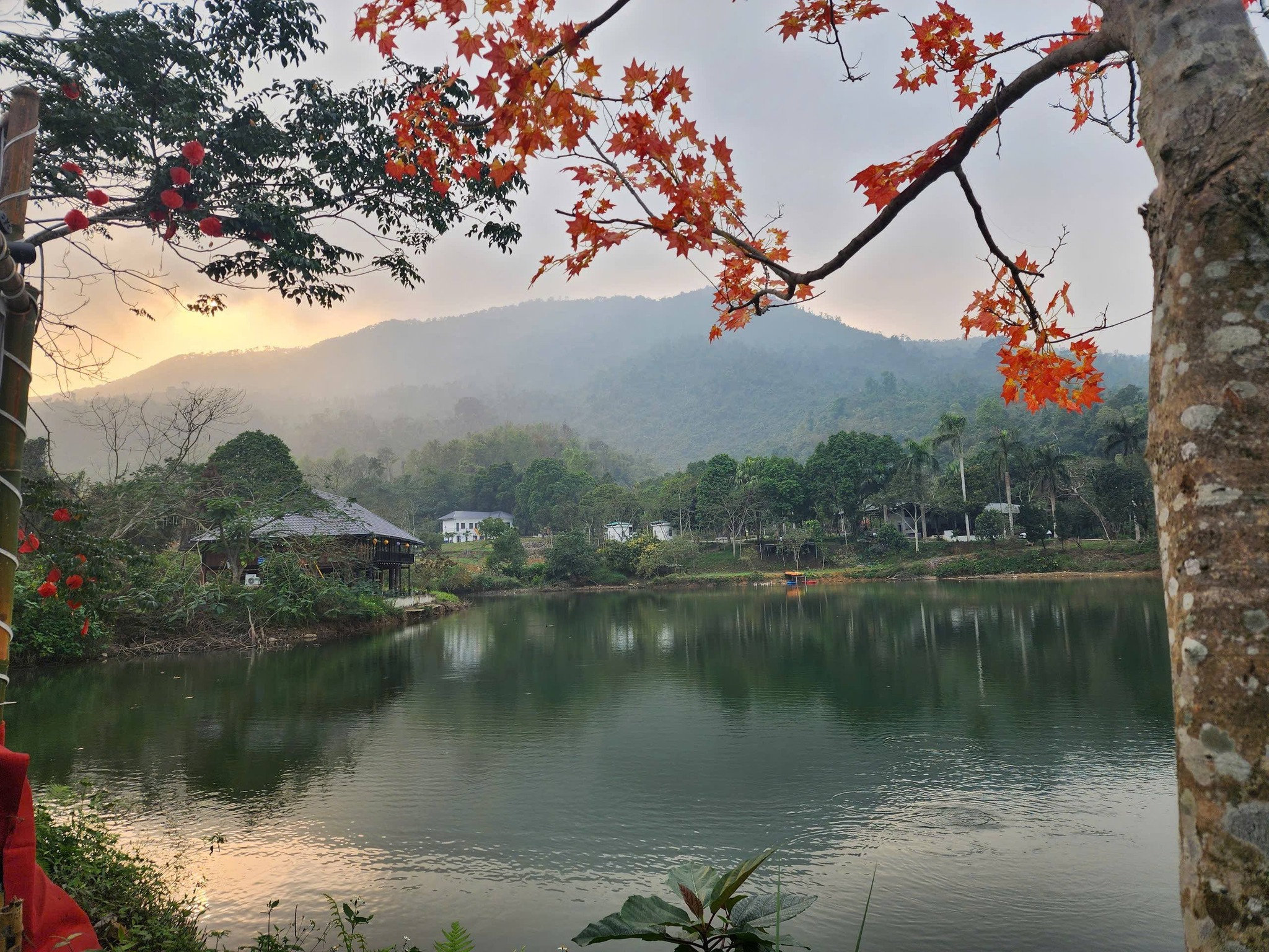Checkin bên lá cây phong cạnh hồ